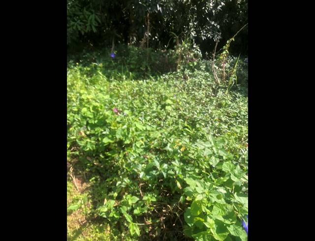 3,335M² VACANT LAND FOR SALE IN UMGENI PARK